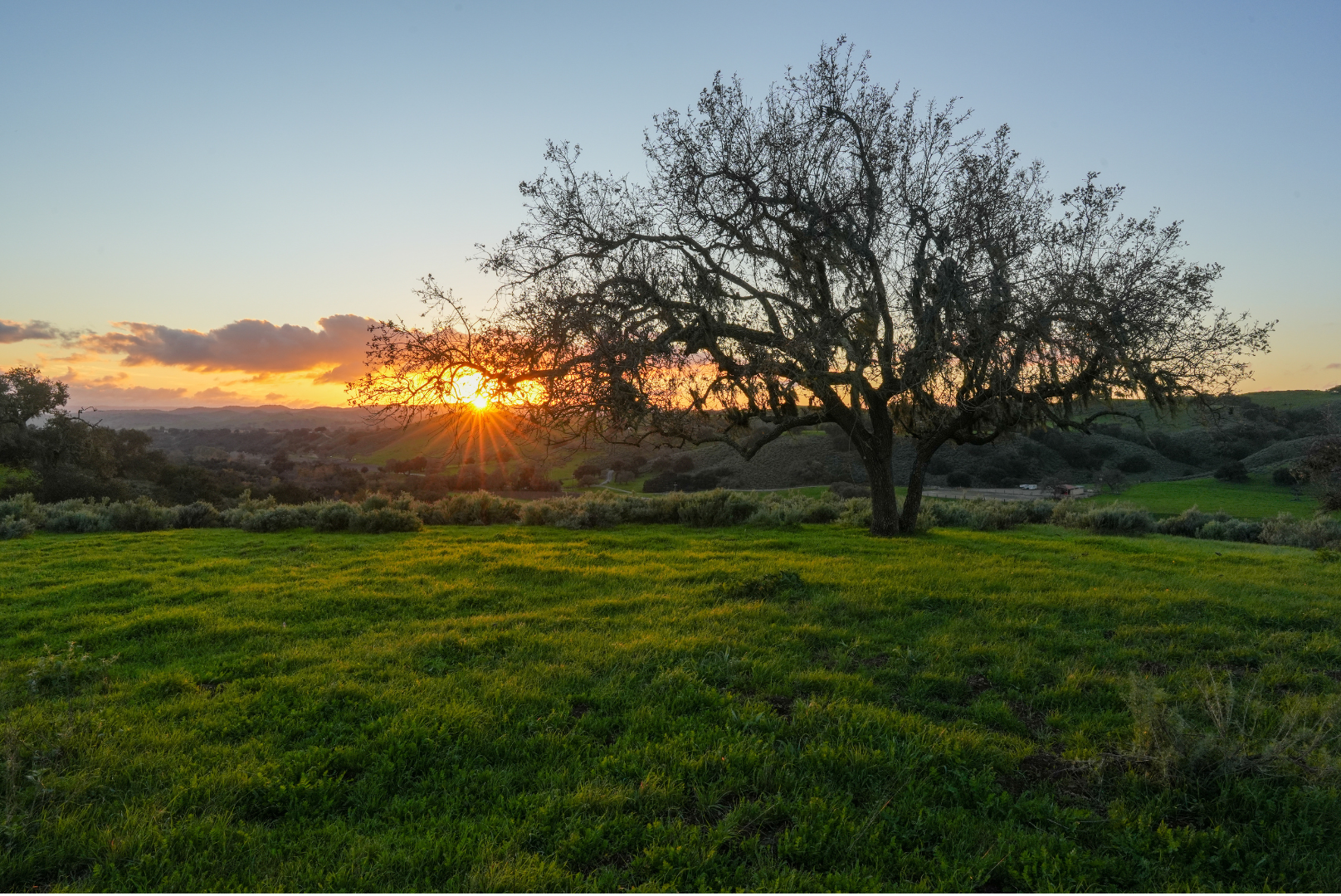 A winter sunset at the ranch in Los Olivos